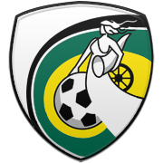 워싱턴 위저즈 엠블럼