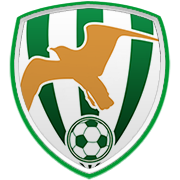 워싱턴 위저즈 엠블럼