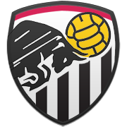 마이애미 히트 엠블럼