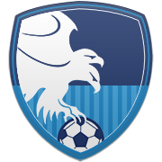 토론토 랩터스 엠블럼