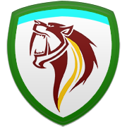 인디애나 페이서스 엠블럼