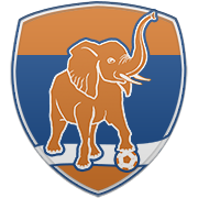 멤피스 그리즐리스 엠블럼